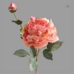Bouquet de pivoines arbustives en couleur vive