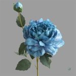 Pivoines arborant des pétales délicats et colorés