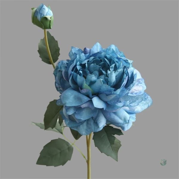 Pivoines arborant des pétales délicats et colorés