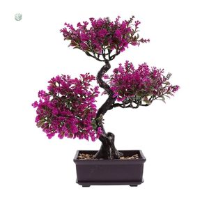 Plante bonsaï synthétique, entretien facile