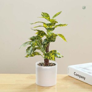 Plante artificielle décorative pour le salon