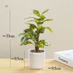 Plante déco réaliste pour embellir votre espace de vie