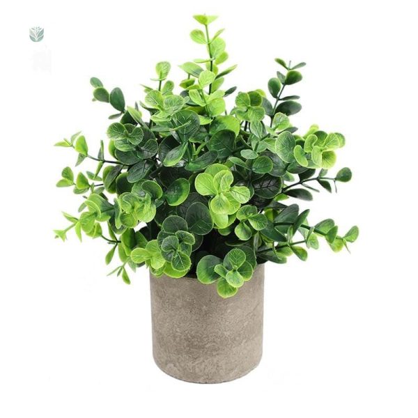 Plante verte en pot pour ambiance cosy