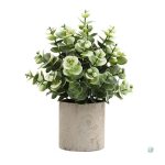 Plante en pot pour décoration intérieure