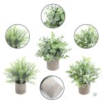 Plante d'intérieur en pot minimaliste