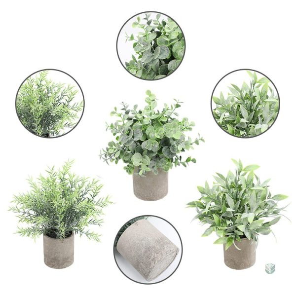 Plante d'intérieur en pot minimaliste