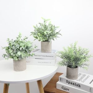 Plante verte en pot pour intérieur