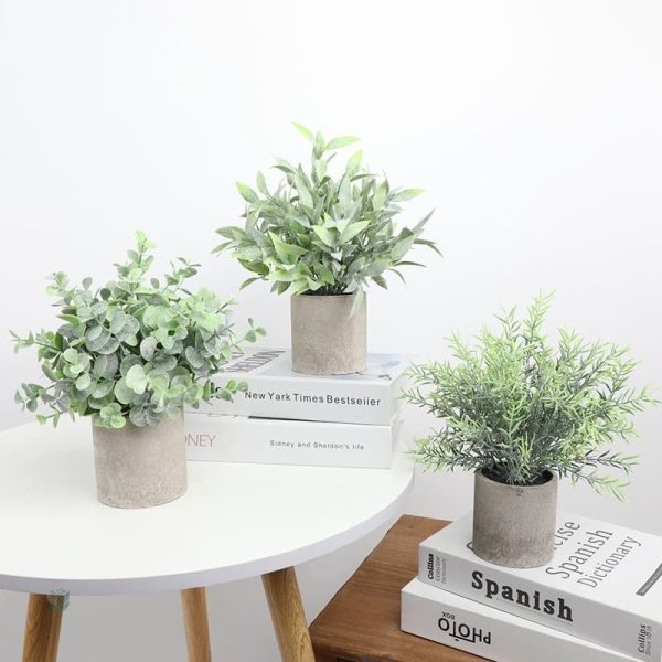 Plante verte en pot pour intérieur