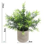 Plante en pot pour rehausser un espace