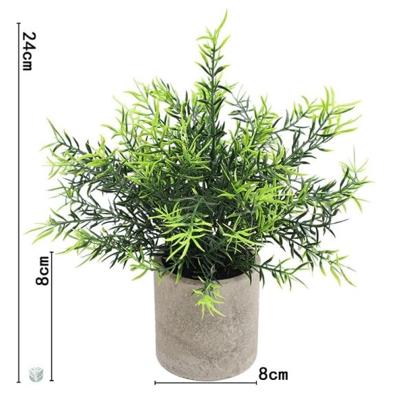 Plante en pot pour rehausser un espace