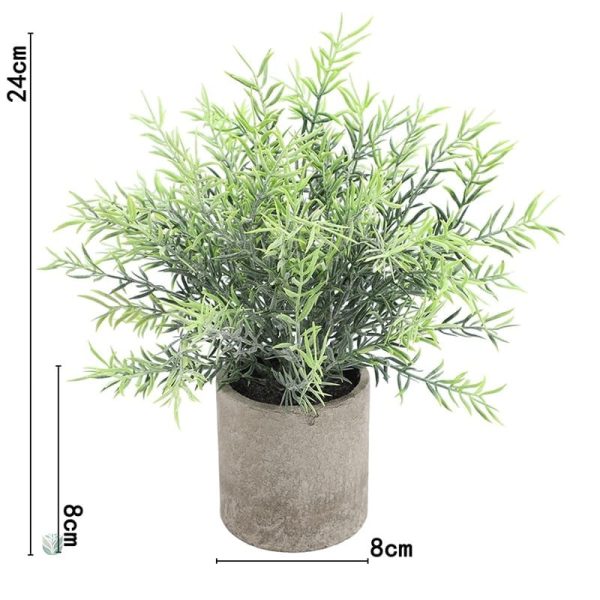 Plante en pot pour style scandinave
