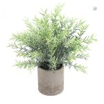 Plante d'intérieur en pot élégant