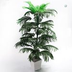 Plante décorative grande taille, sans entretien nécessaire