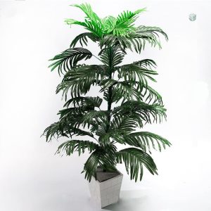 Plante décorative grande taille, sans entretien nécessaire