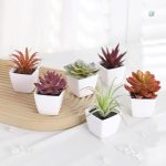 Plante artificielle succulente décorative en pot