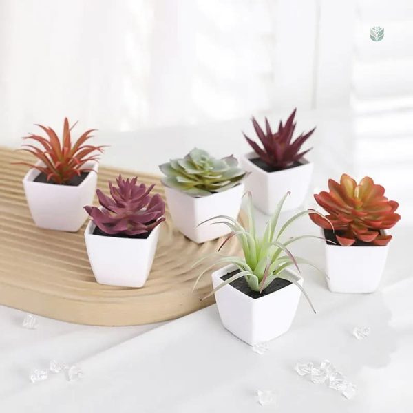Plante artificielle succulente décorative en pot