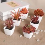 Succulente artificielle colorée pour la décoration intérieure