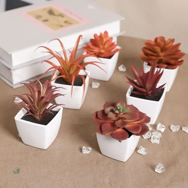 Succulente artificielle colorée pour la décoration intérieure