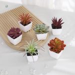 Plante succulente synthétique, entretien minimal