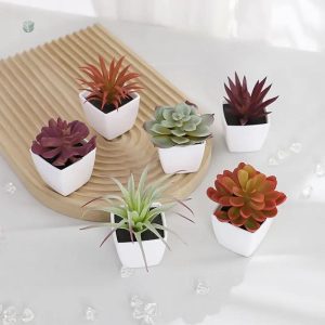 Plante succulente synthétique, entretien minimal