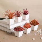 Succulentes artificielles variées pour embellir votre espace