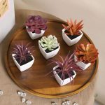 Composition de succulentes en plastique, look réaliste