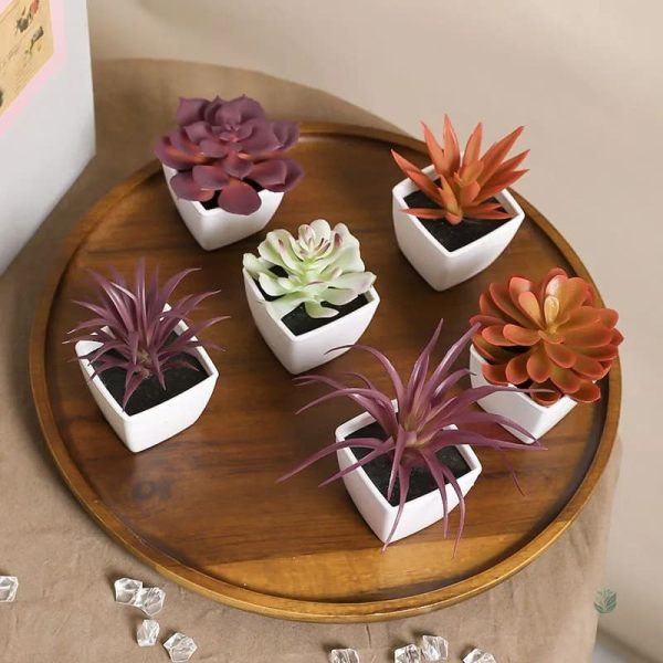 Composition de succulentes en plastique, look réaliste