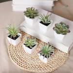 Plante artificielle succulente, parfaite pour un cadeau