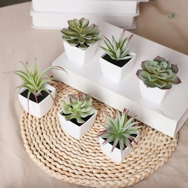 Plante artificielle succulente, parfaite pour un cadeau
