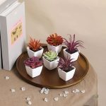 Succulentes en plastique, ajout de verdure sans entretien