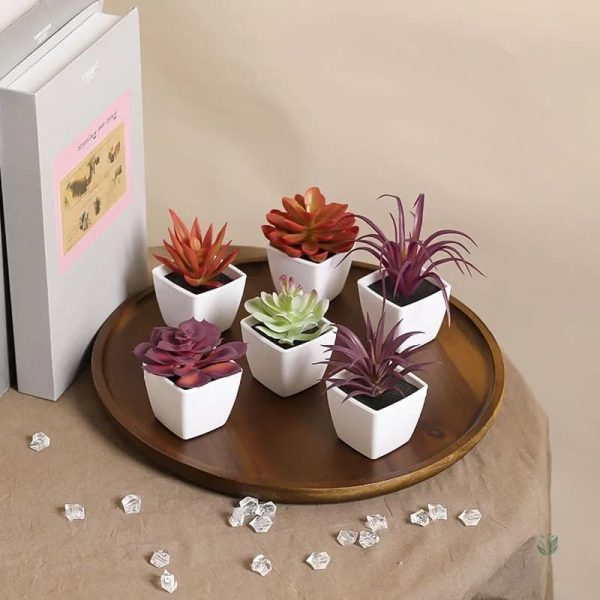 Succulentes en plastique, ajout de verdure sans entretien