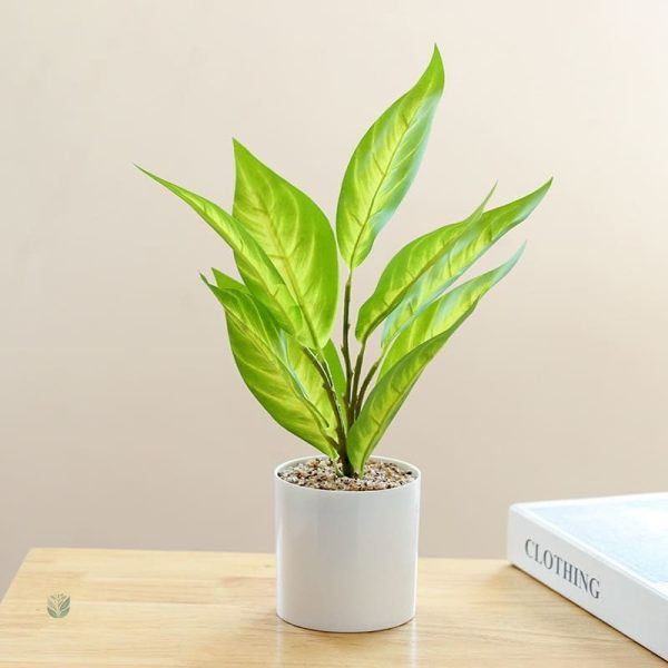 Plante Fausse Déco en intérieur