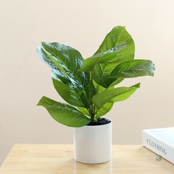 Accessoire déco naturel sans allergies