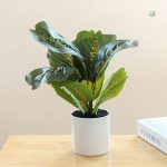Faux végétal durable pour style minimaliste