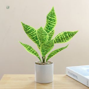 Plante d'intérieur imitation réaliste