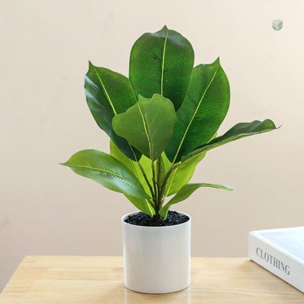 Plante faux décor pour toutes les pièces
