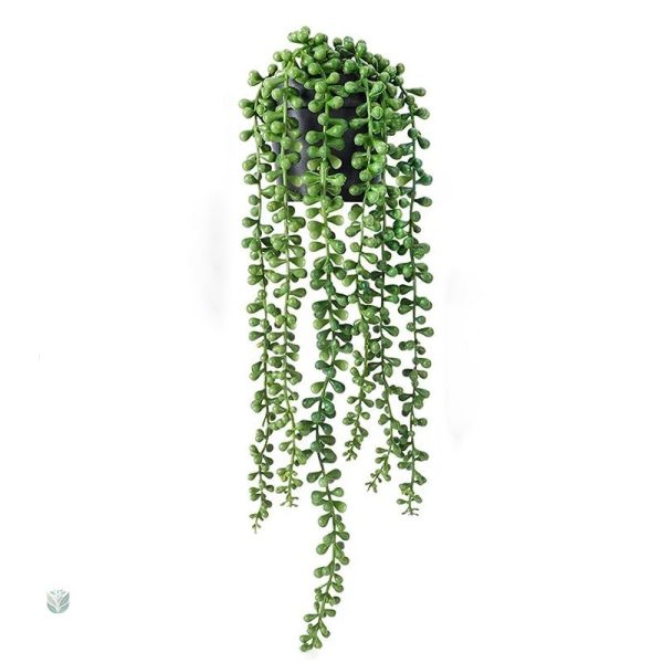 Plante grasse retombante en décoration intérieure artificielle