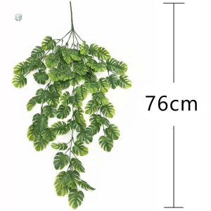Plante décorative tombante, idéale pour embellir vos murs