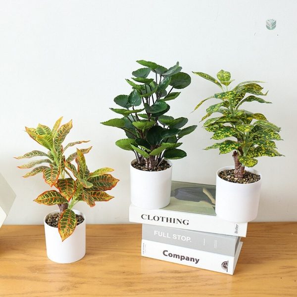 Plante artificielle Polyscias pour intérieur moderne