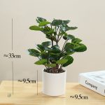 Polyscias, plante décorative en plastique de qualité