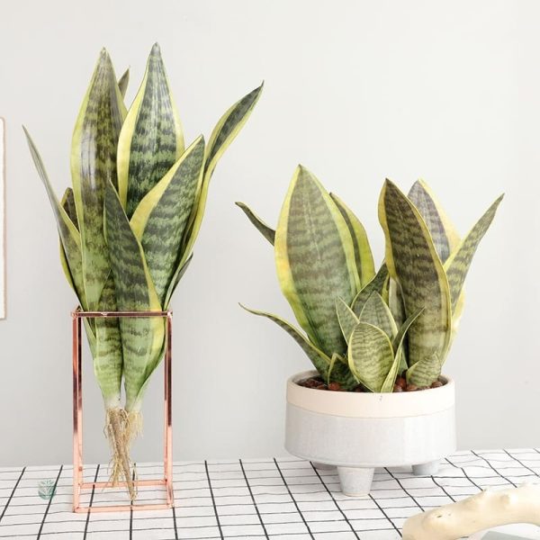 Sansevieria verte, plante artificielle pour intérieur