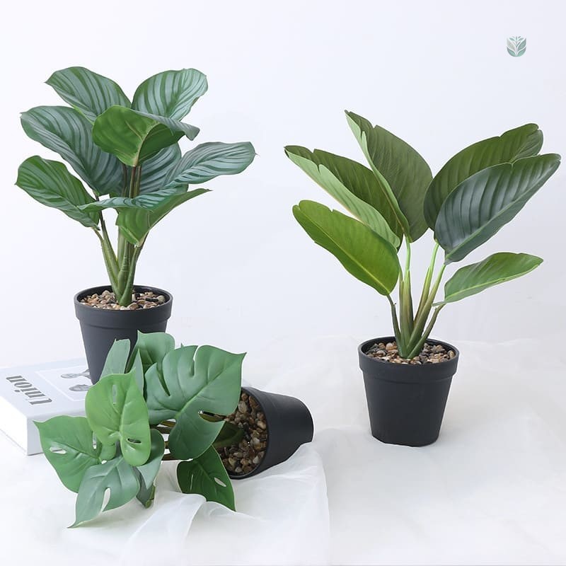 Plantes Vertes Artificielles