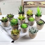 Plantes artificielles pour un look naturel