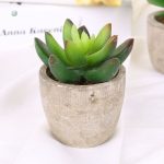 Succulentes artificielles pour intérieur
