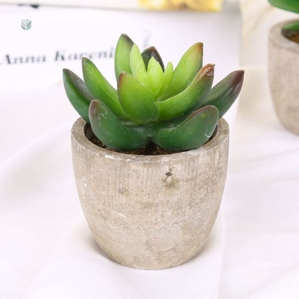 Succulentes artificielles pour intérieur
