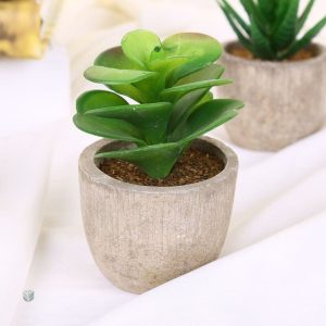 Plantes artificielles succulentes modernes
