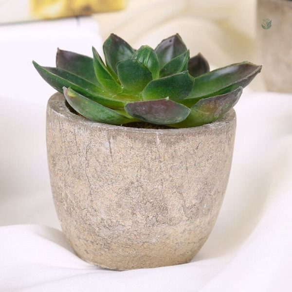 Plantes artificielles pour un intérieur tendance