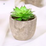 Plantes grasses en plastique pour la maison