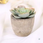 Plantes artificielles pour bureau élégant
