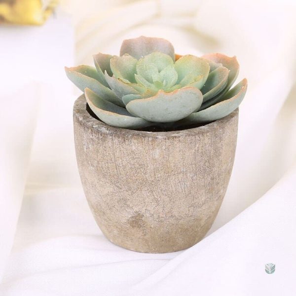 Plantes artificielles pour bureau élégant